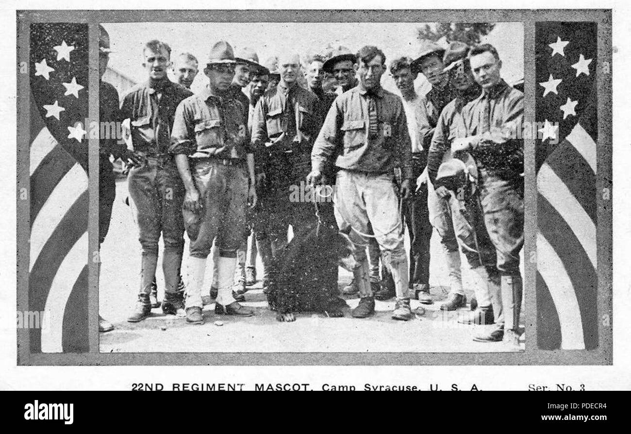 Us-Armee Soldaten der 22 Infanterie Regiment stellen im Jahr 1918 mit ihrer Einheit Maskottchen, ein Black Bear Cub, am Lager Syracuse, NY das Regiment die Ausbildung an die neuen Rekruten und National Guard Bürgersoldaten in Amerikas Mobilmachung zum Ersten Weltkrieg Camp Syrakus, auf einen Teil der New York State Fairgrounds entfernt, mehr als 40.000 Soldaten für den Krieg verarbeitet. Foto Stockfoto