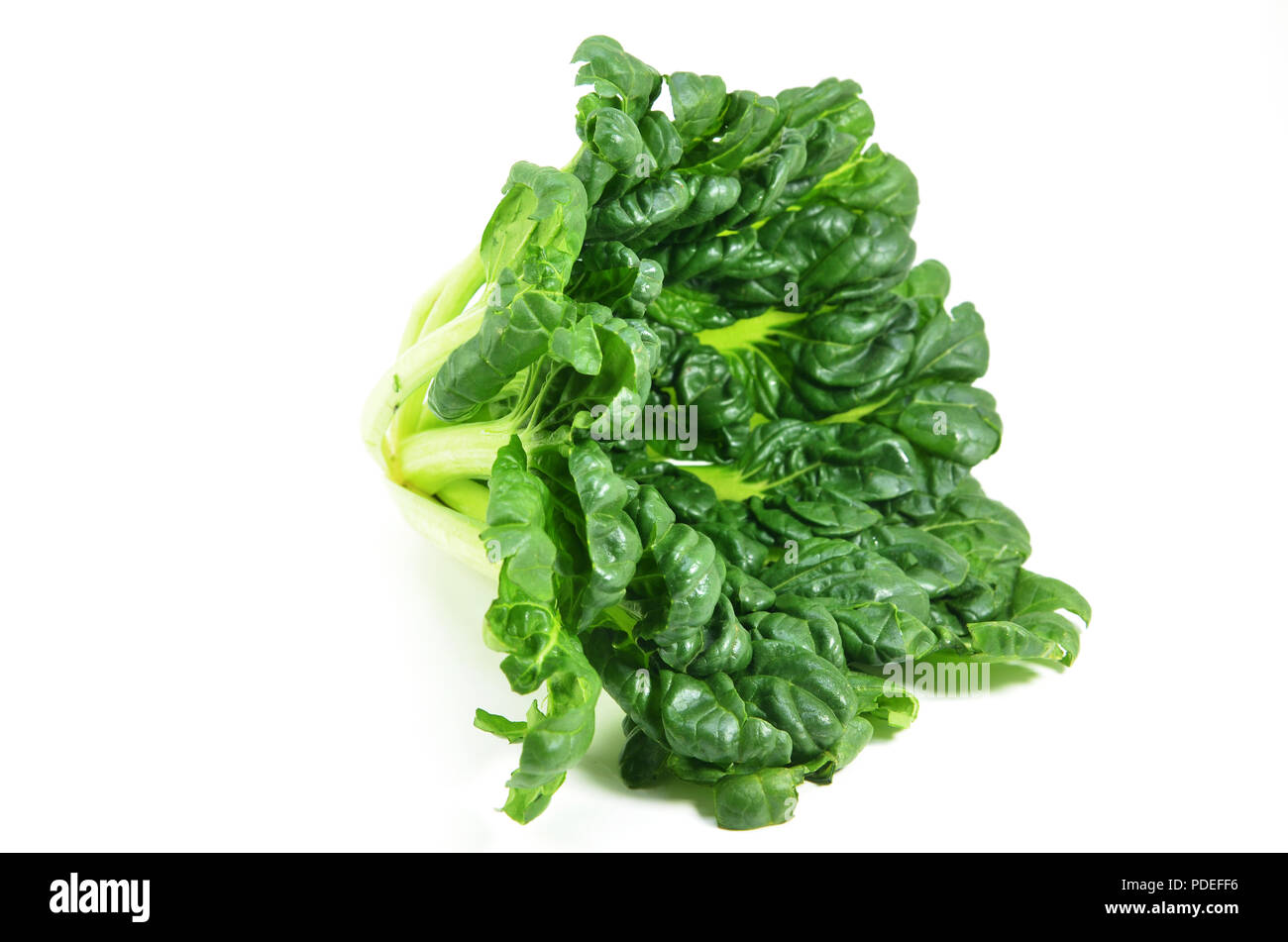 Chinesische flachbild Kohl (Brassica chinensis) oder Tah Tsai Kopfsalat isoliert auf weißem Stockfoto