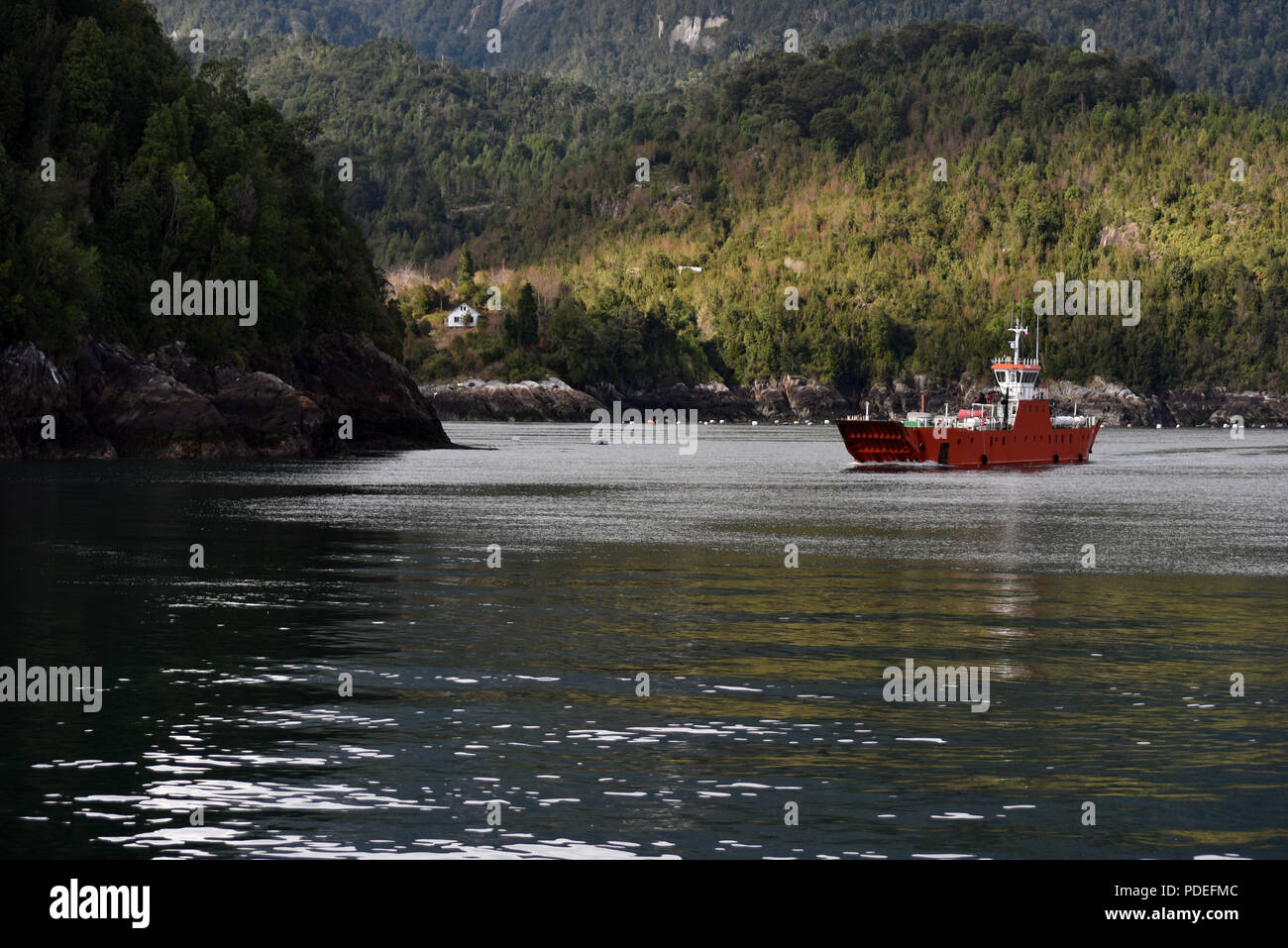 Patagonien, Sektor Hornopiren Stockfoto