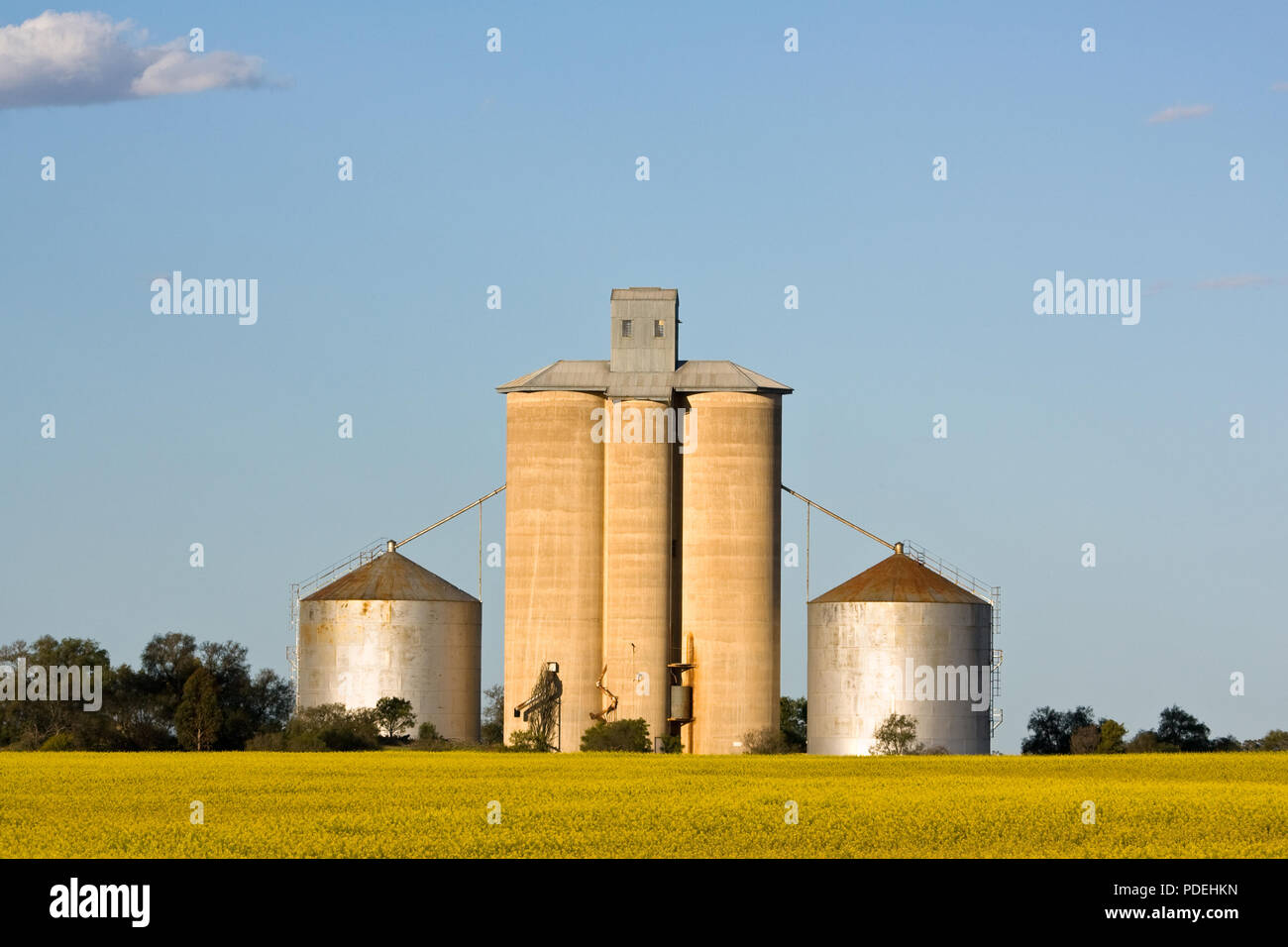 Körnerelevator Silo, Wimmera region Victoria in Australien. Stockfoto