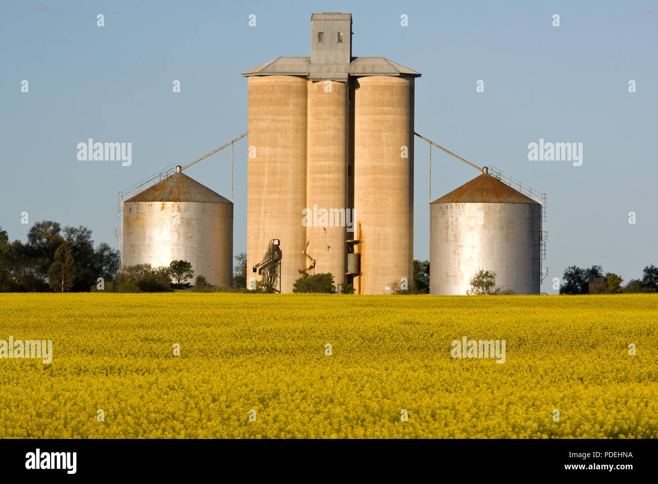 Körnerelevator Silo, Wimera region Victoria in Australien. Stockfoto