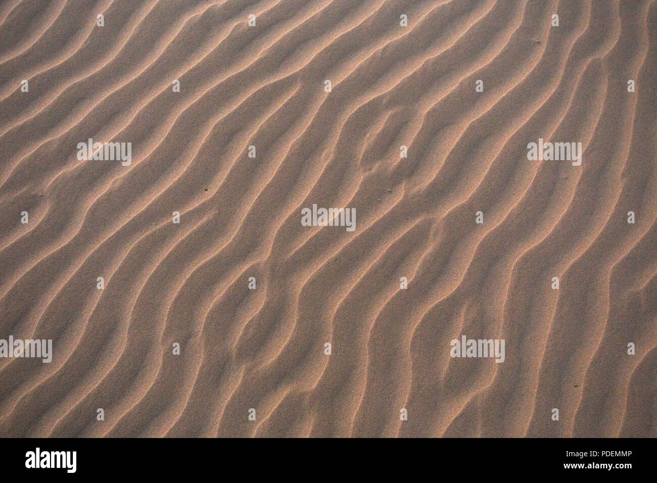 Sand Muster auf einem Strand, Yuraygir National Park, NSW, Australien Stockfoto