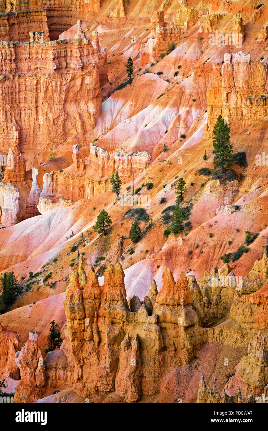 Die hoch aufragenden hoodoos Glühen am bürgerlichen Dämmerung vom Sunset Point in Utah Bryce Canyon National Park. Stockfoto