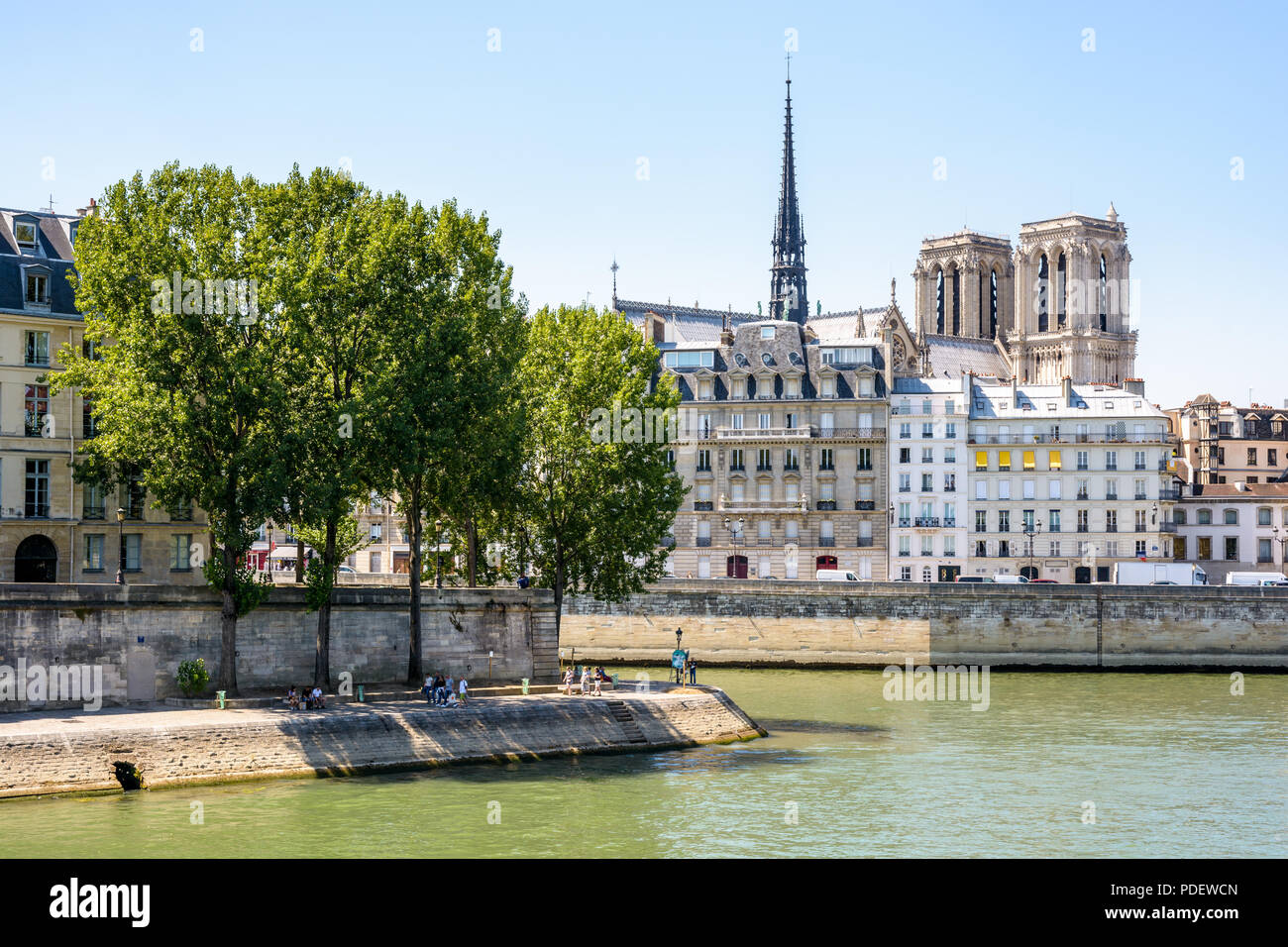 Blick auf die Ile de la Cite auf der Seine in Paris, Frankreich, mit Notre-Dame de Paris Kathedrale ragt über dem Gebäude, die durch einen sonnigen Tag. Stockfoto