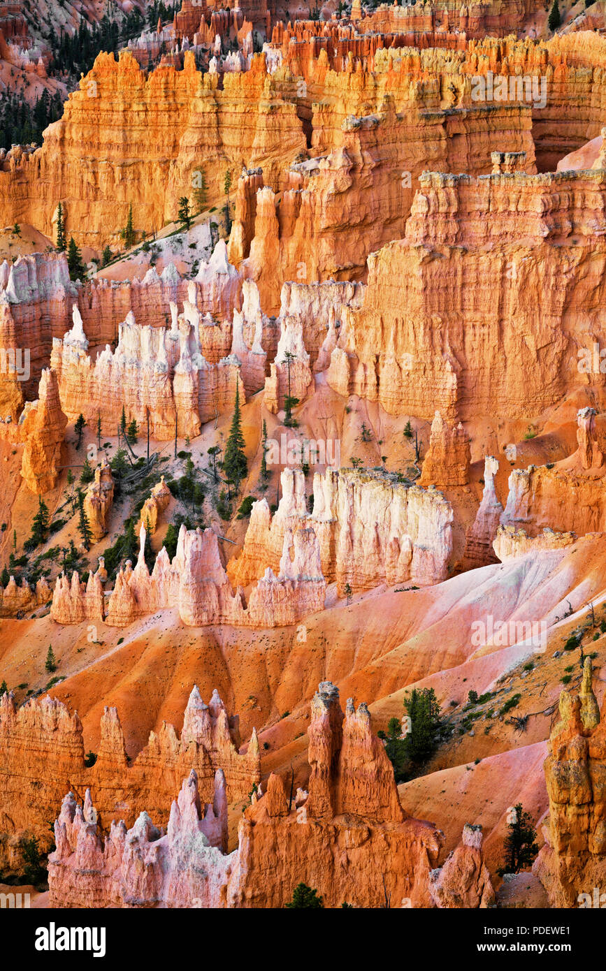 Die hoch aufragenden hoodoos Glühen am bürgerlichen Dämmerung vom Sunset Point in Utah Bryce Canyon National Park. Stockfoto