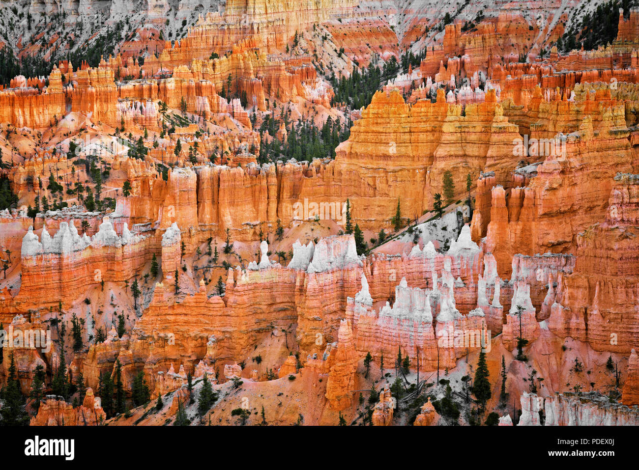 Die hoch aufragenden hoodoos Glühen am bürgerlichen Dämmerung vom Sunset Point in Utah Bryce Canyon National Park. Stockfoto