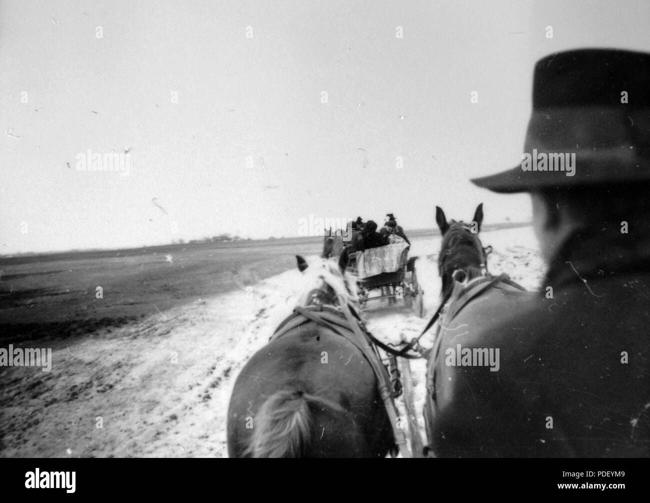 5 Pferd, Wagen Fortepan 4764 Stockfoto