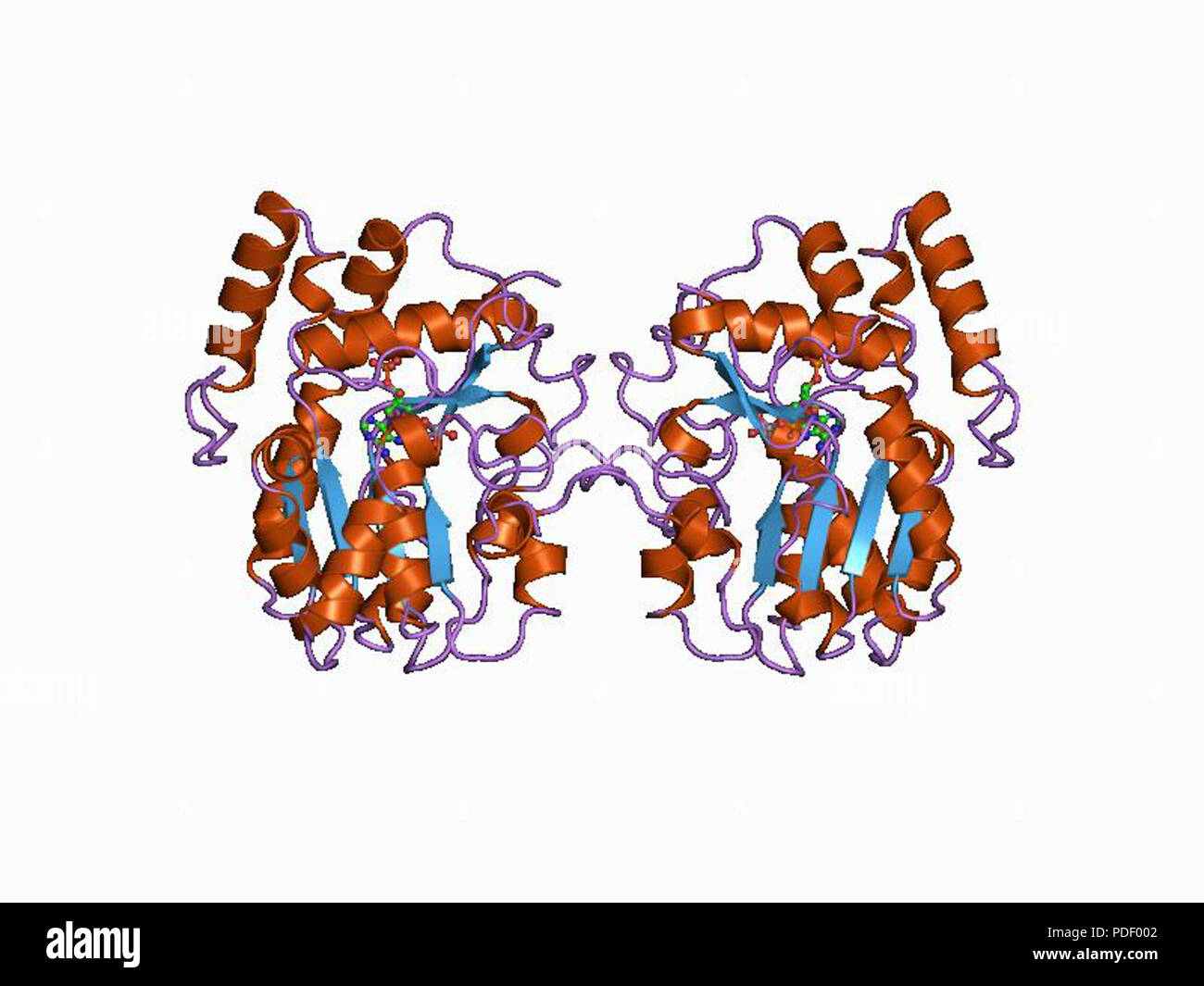 14 HVE 1 Bo 6 EBI Stockfoto