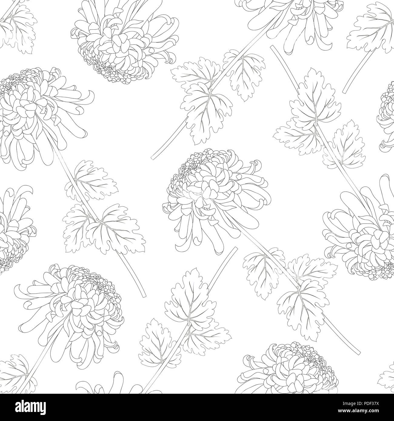 Chrysantheme Umrisse, Kiku japanische Blume nahtlose Hintergrund. Vector Illustration. Stock Vektor