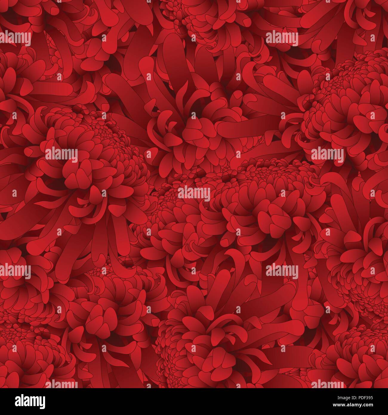 Rote Chrysantheme, Kiku japanische Blume nahtlose Hintergrund. Vector Illustration. Stock Vektor