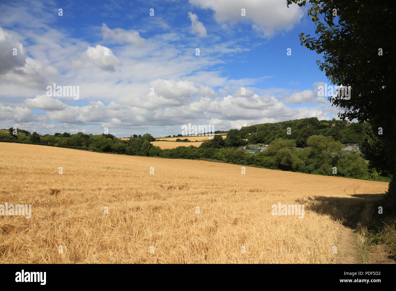 Landschaft unter Drohung von Green Belt Entwicklung bei Lutley, Halesowen, England, UK. Stockfoto