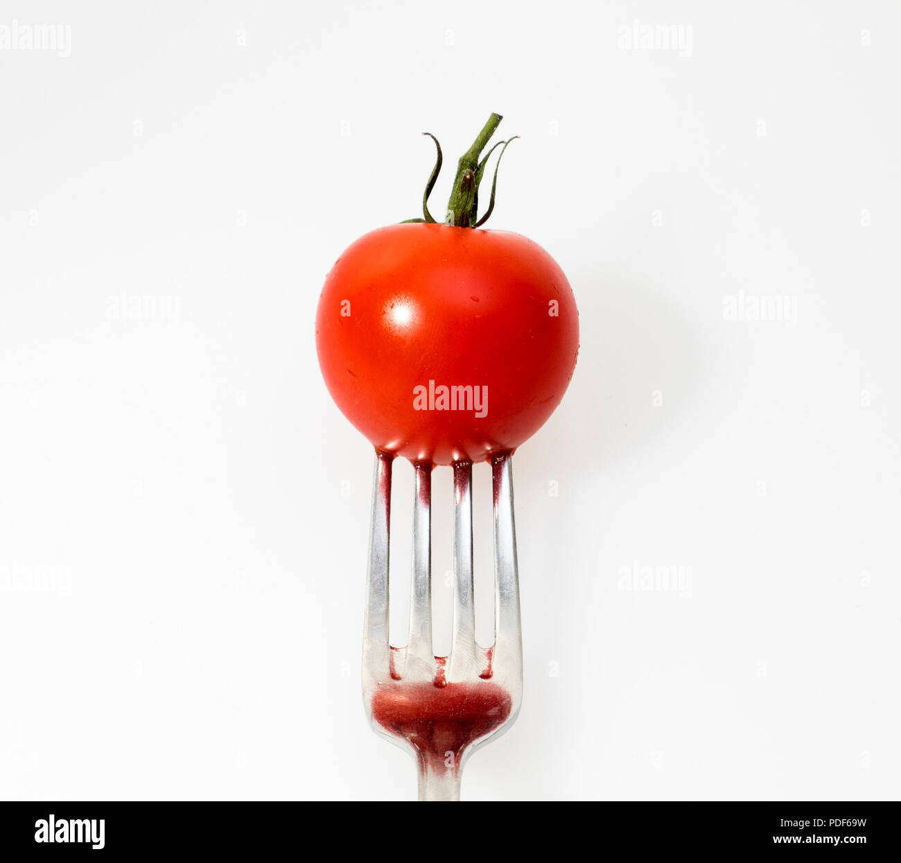 Frische Tomaten Stockfoto