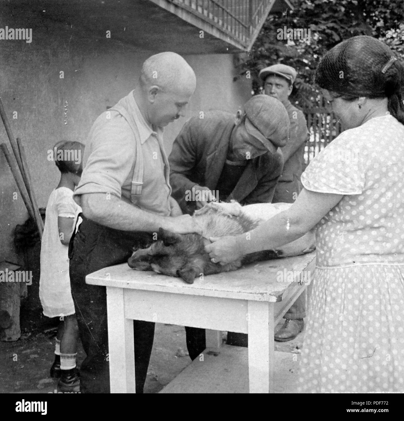 8 Tableau Fortepan 4306 Stockfoto