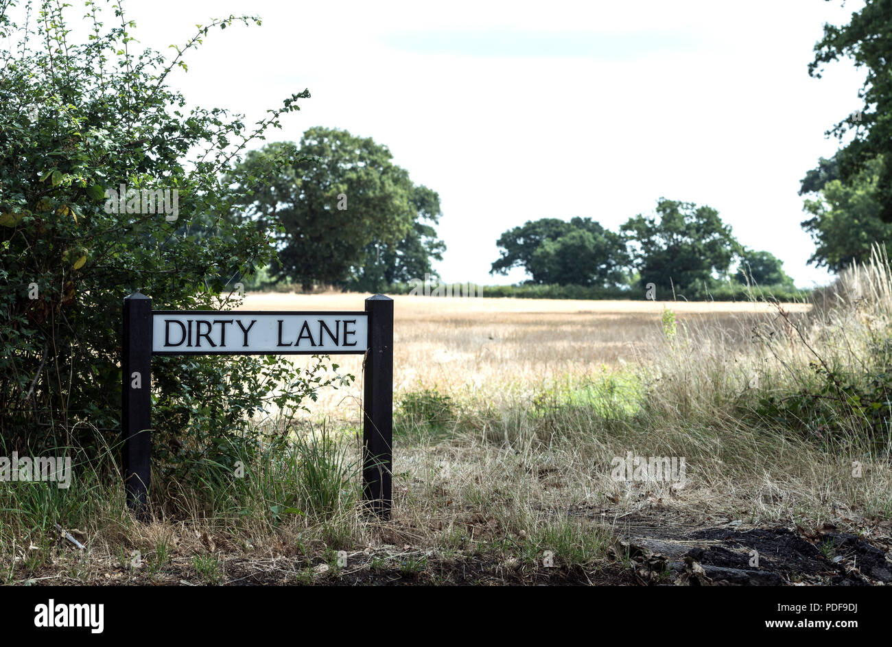 Verschmutzte Fahrbahn Zeichen und die Landschaft im Sommer, beausale Dorf, Warwickshire, England, Großbritannien Stockfoto
