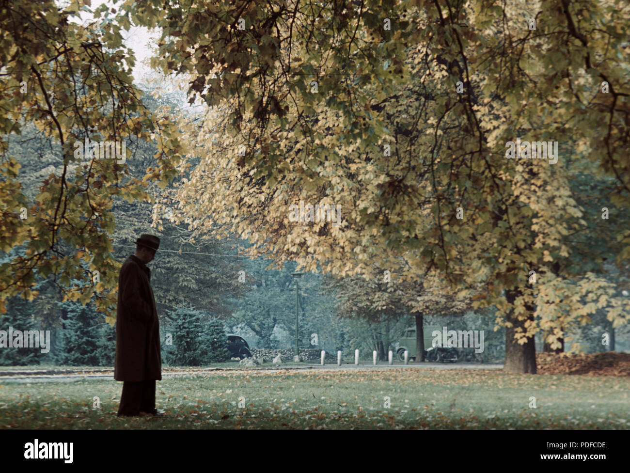 103 Bunte, Herbst, Wald, Hut, Melancholie, Laub Fortepan 12346 Stockfoto