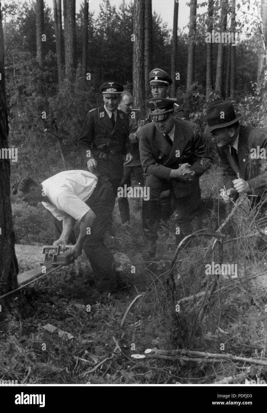149 Hans Frank podczas wizytacji na wyrębie lasu, 1939-1945 Stockfoto