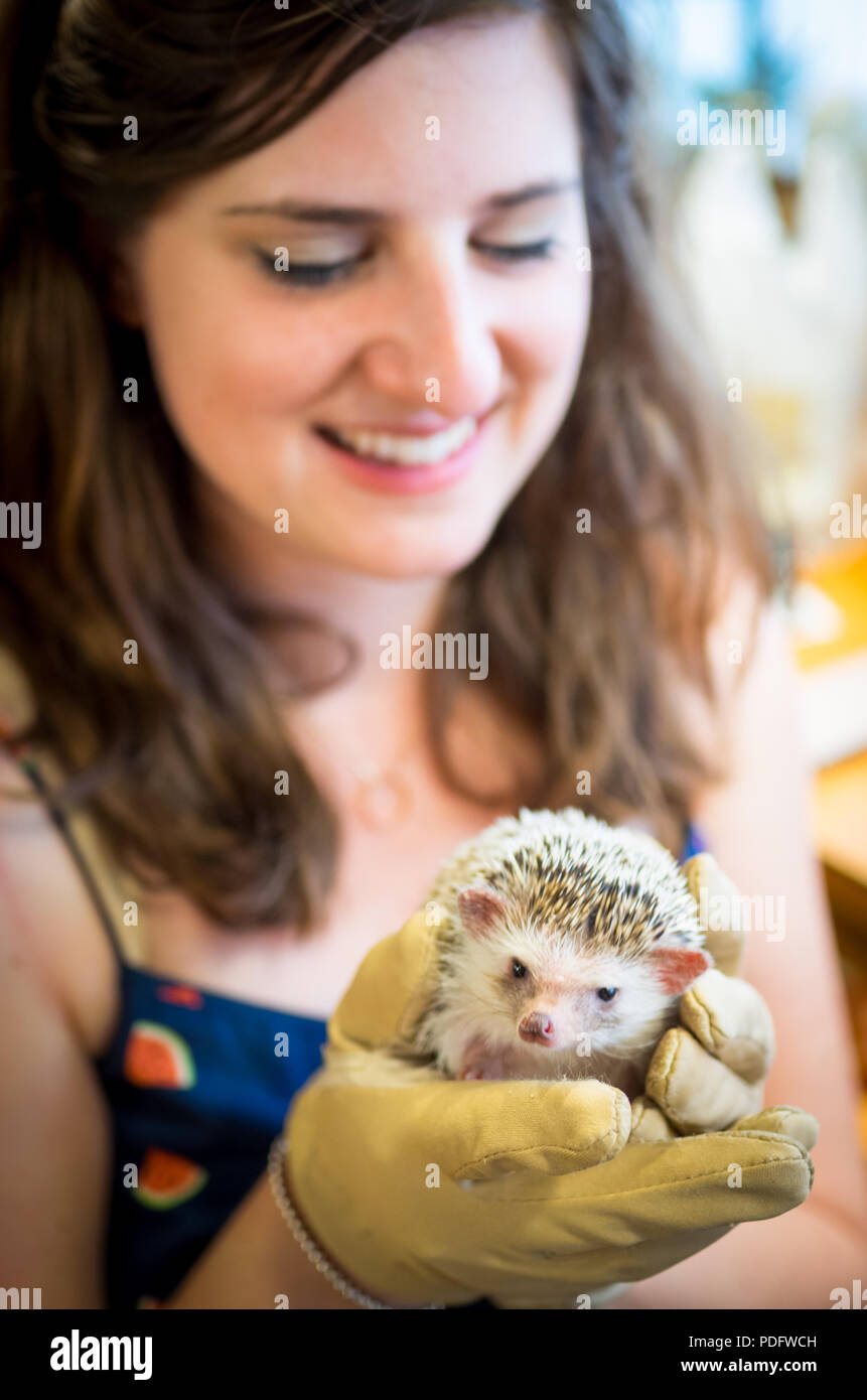 Ein glückliches Mädchen hält ein Igel an Hedgehog Cafe Harry, ein Igel cafe in Harajuku, Tokio, Japan. Stockfoto