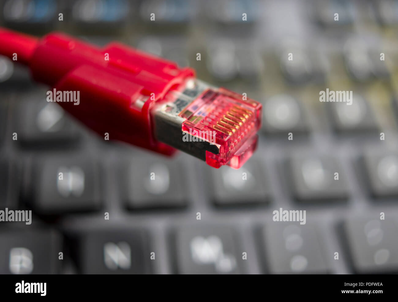 DSC 07667 Stockfoto