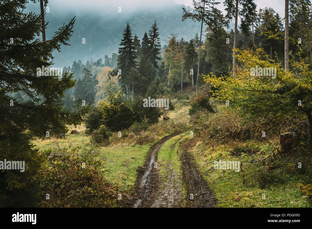 Borjomi, Georgia. Schmutziges Land Berge Straße Weg Weg Weg in Wald im Herbst Tag. Herbst Natur Landschaft. Stockfoto