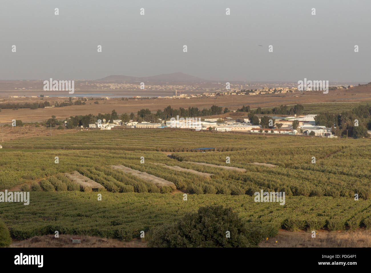 Blick auf die Golanhöhen Grenze Israels gegen Syrien. 2017 Stockfoto