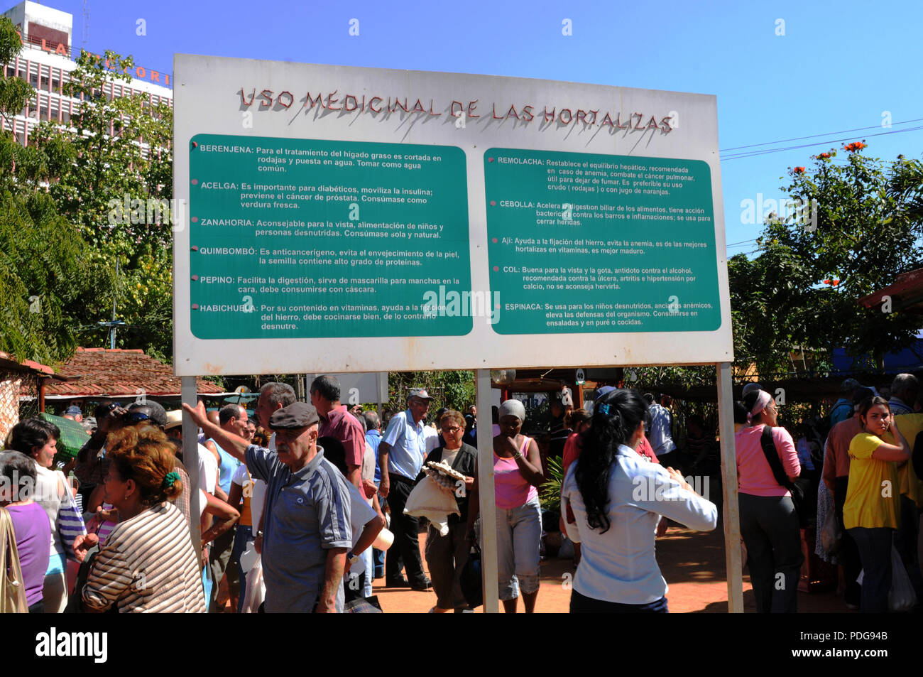 Pflanzliche medizinische Ratschläge auf einem Bauernmarkt in Havanna-City. Stockfoto