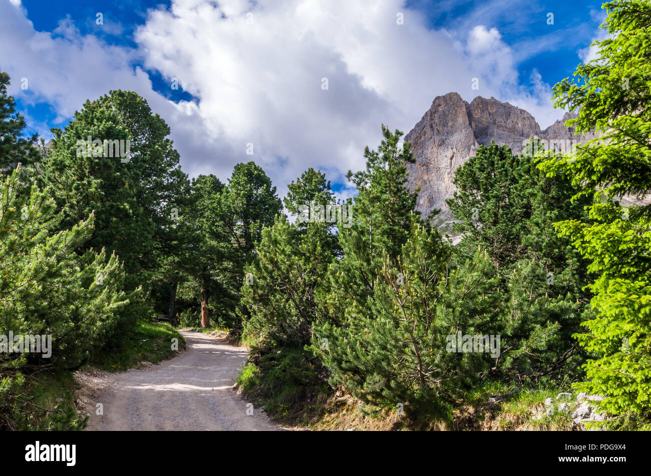 Rosengarten Rosengarten massiv, Dolomiten, Italien. Spektakuläre Aussicht in Val di Vajolet, Dolomiten, Südtirol, Südtirol Stockfoto