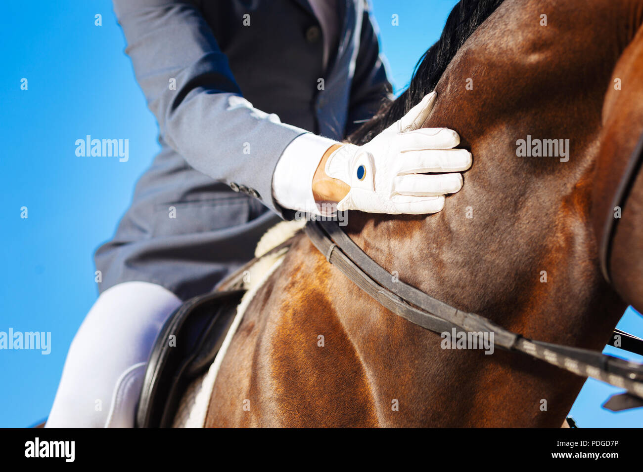 Gutherzig Reiter petting Seine schöne dunkle Pferd Stockfoto