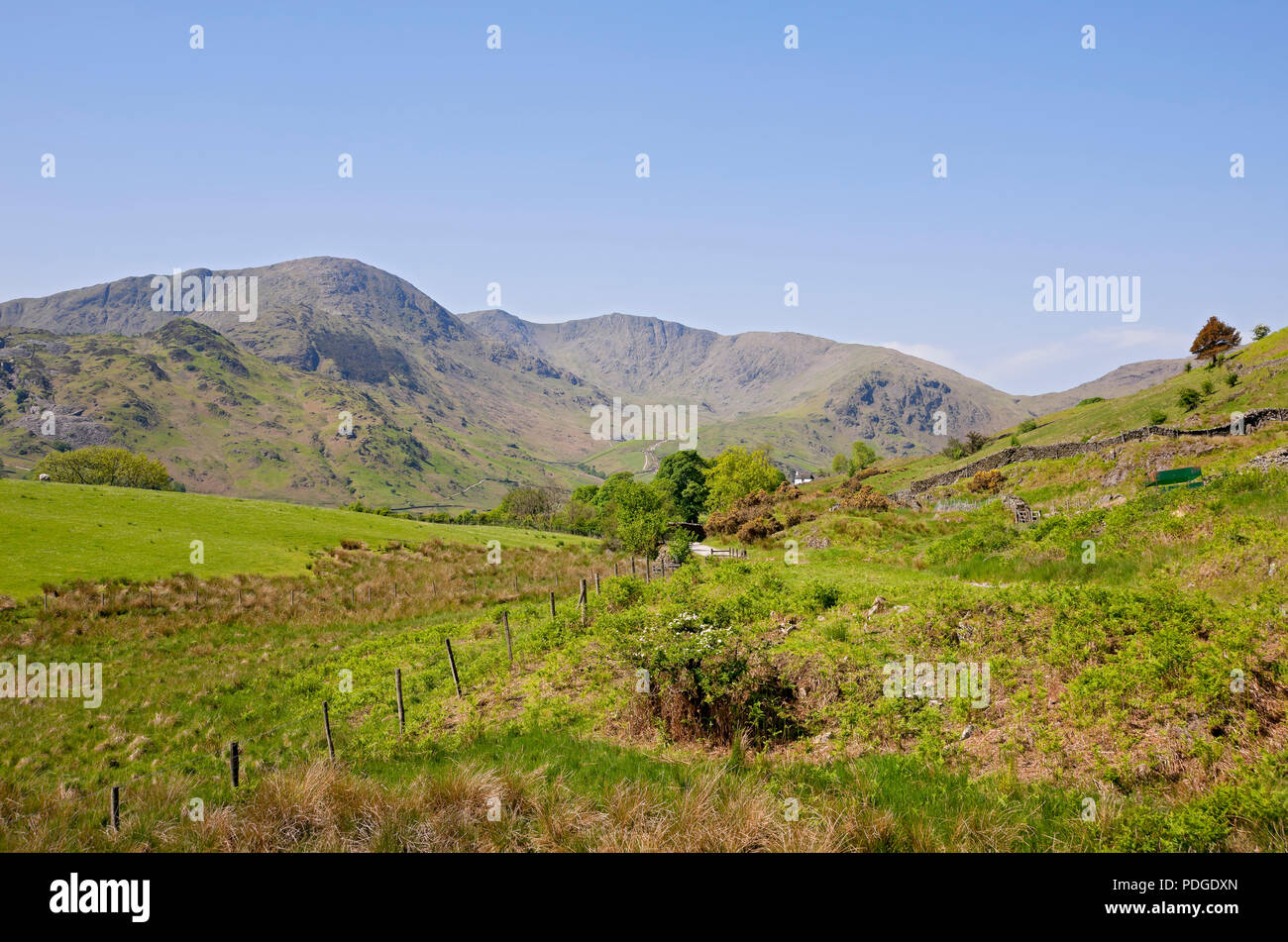 Blick auf Wetherlam im Sommer Lake District National Park Cumbria England Vereinigtes Königreich GB Großbritannien Stockfoto