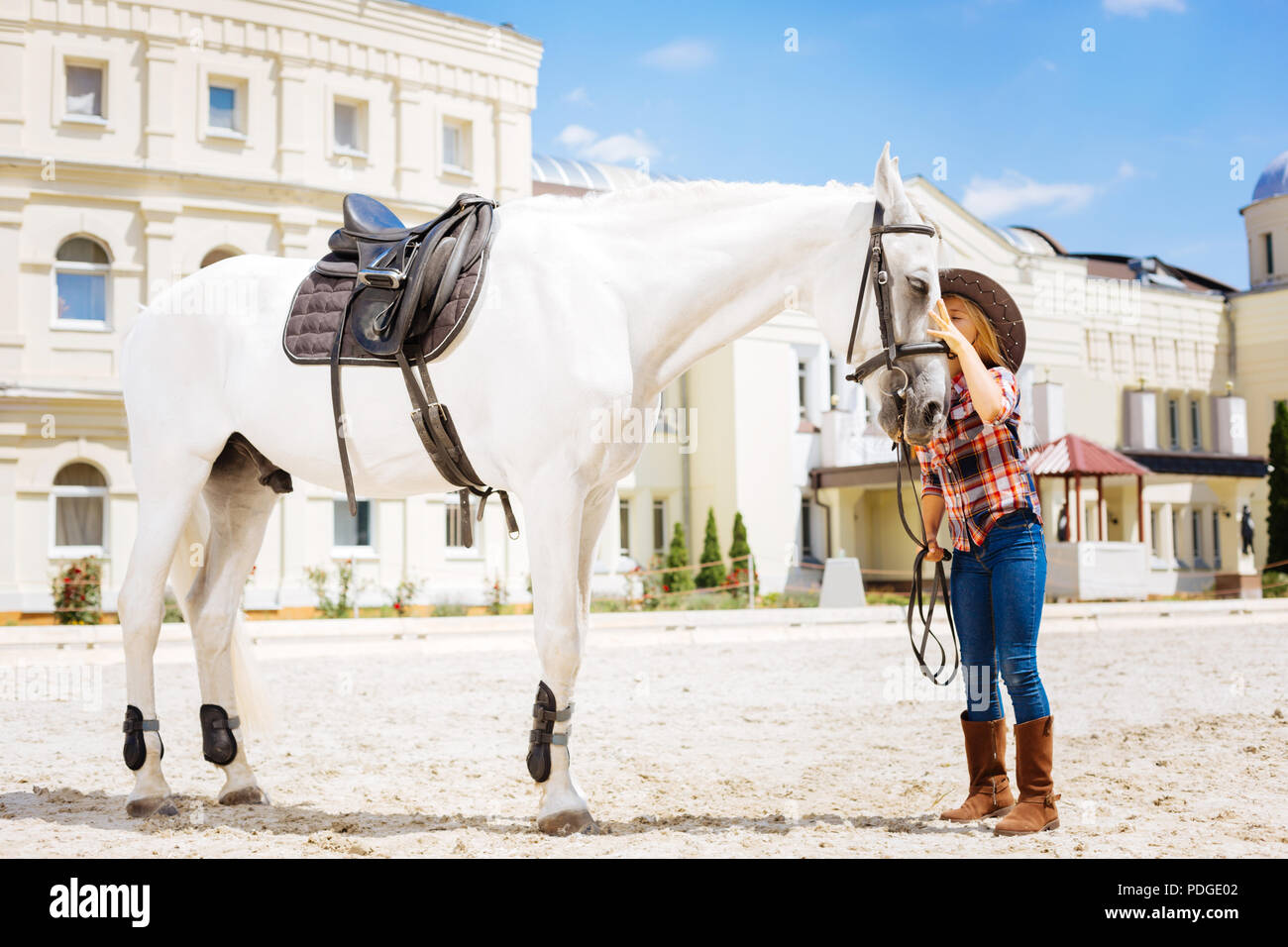 Pflege liebevolle cowboy Mädchen küssen ihre weißen Racing Pferd Stockfoto
