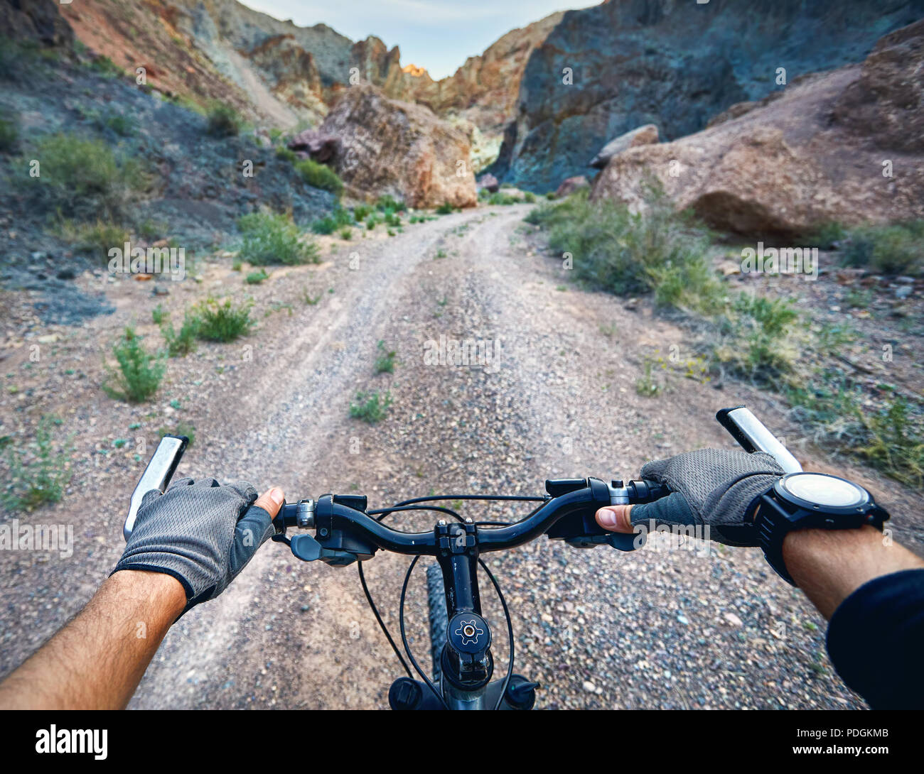 Reiter in Handschuhe holding Lenker Mountainbike in der Wüste Canyon. Extreme Sport Konzept. Stockfoto