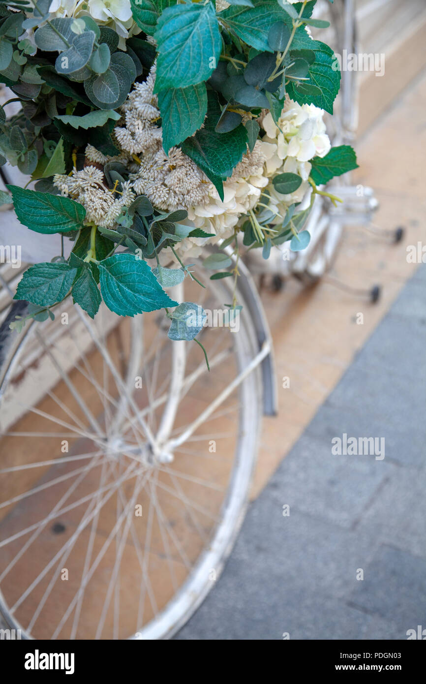 Weiß lackiert Fahrrad und Blumenkorb Stockfoto