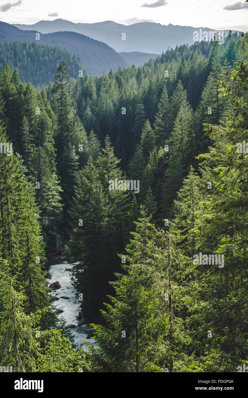 Rolling Hills im Pazifischen Nordwesten Mt Baker-Snoqualmie National Forest Stockfoto