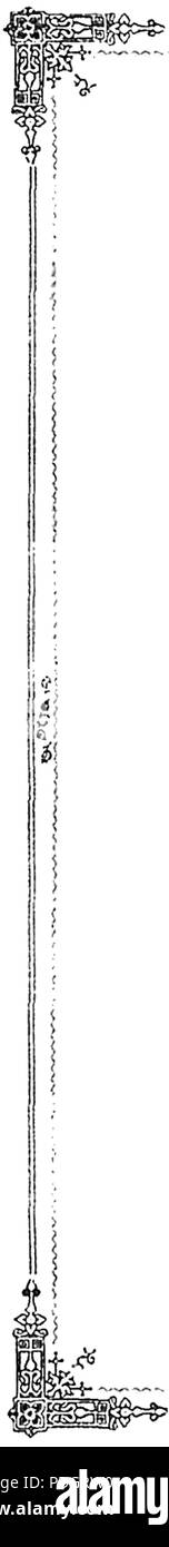 204 Links dekorative Grenze Stockfoto