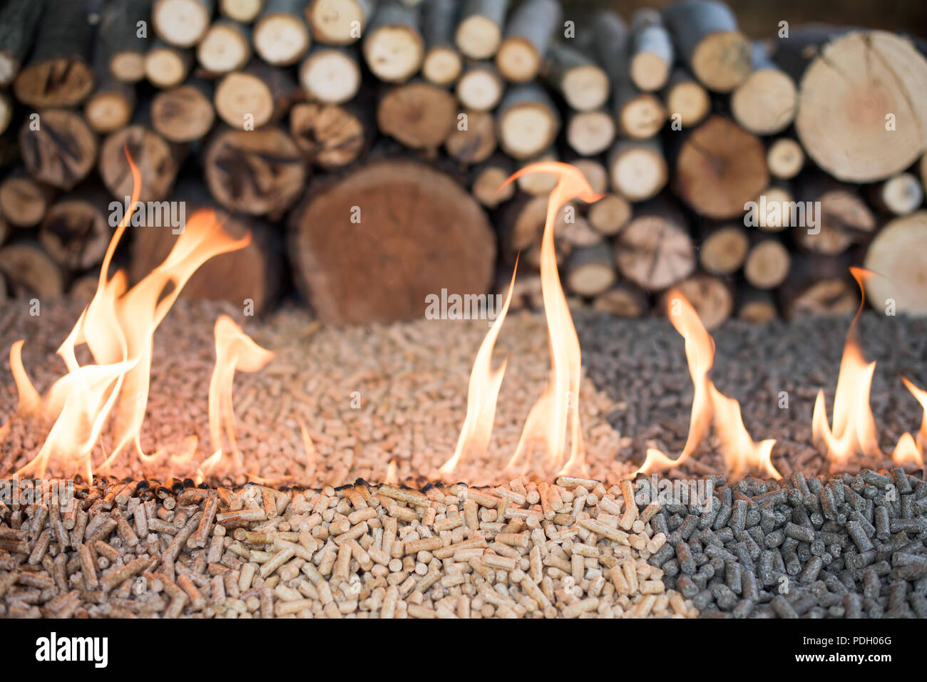 Eiche, Kiefer und sunflower Pellets in Feuer vor der Stapel von Holz Stockfoto