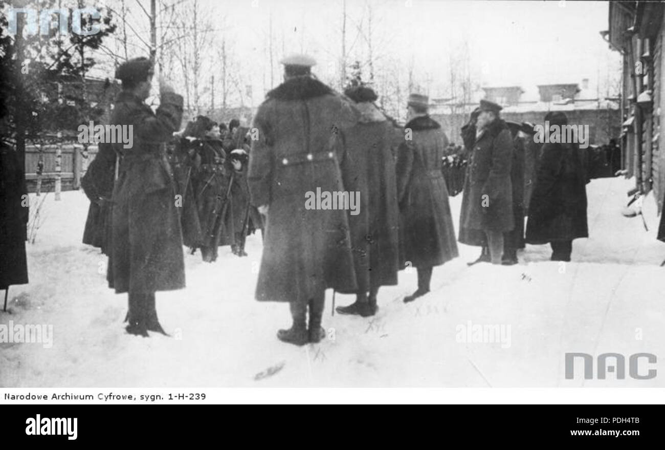 273 Przedstawiciele sprzymierzonych wojsk z wizytą w oddziale Murmańczyków 1918 Stockfoto
