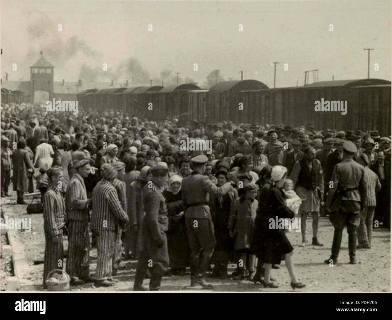 294 Selektion an der Rampe von Auschwitz-Birkenau, Sommer 1944 (Auschwitz Album) Stockfoto