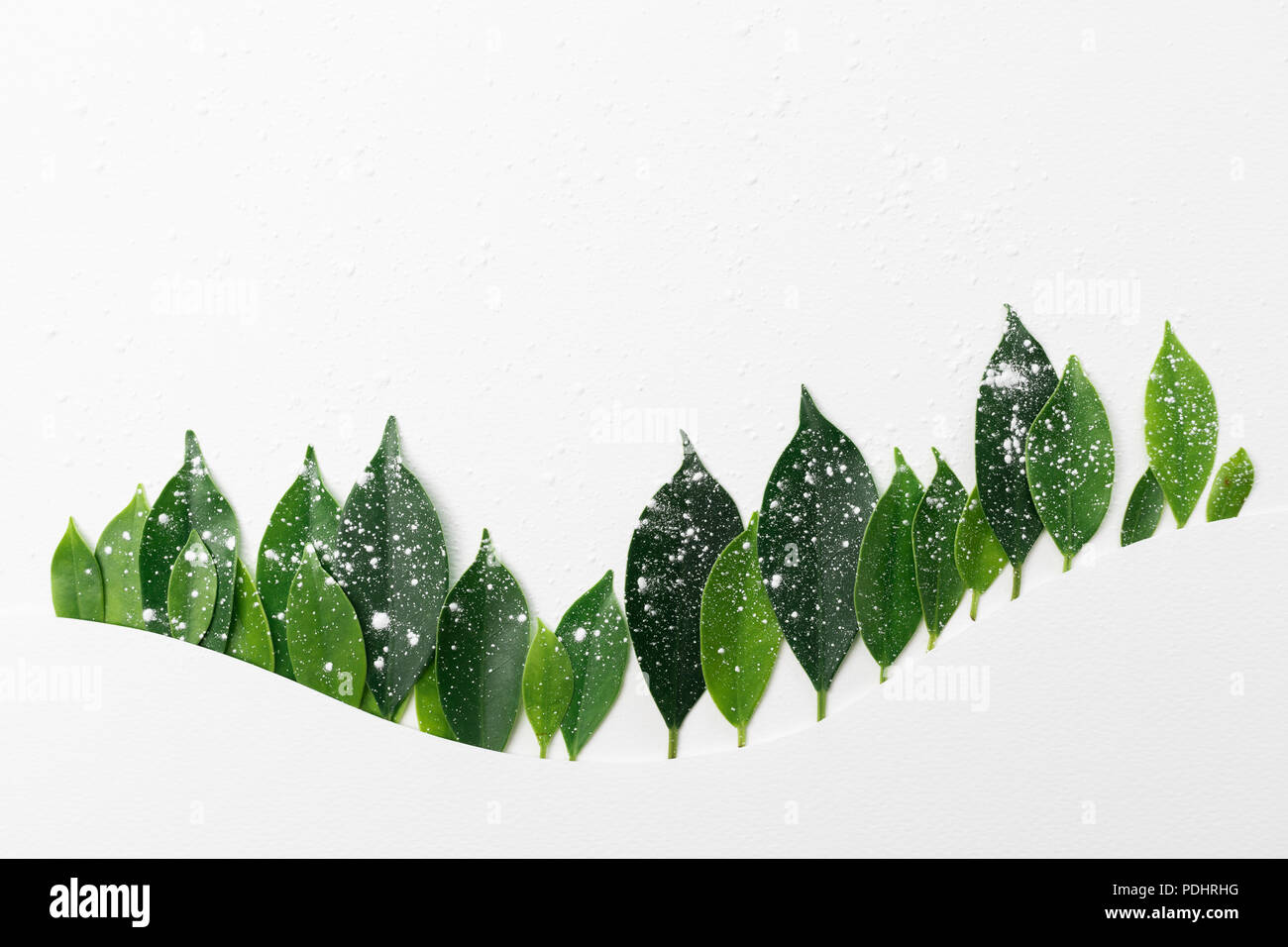 Bergwald Baumgrenze aus grünen Blättern, Minimal Art Konzept. Flaches Design für Boden zurück, Stockfoto