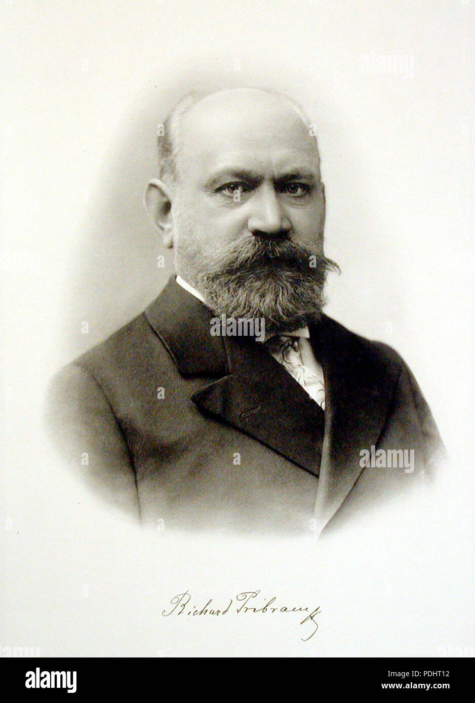 279 Richard-Pribram Stockfoto