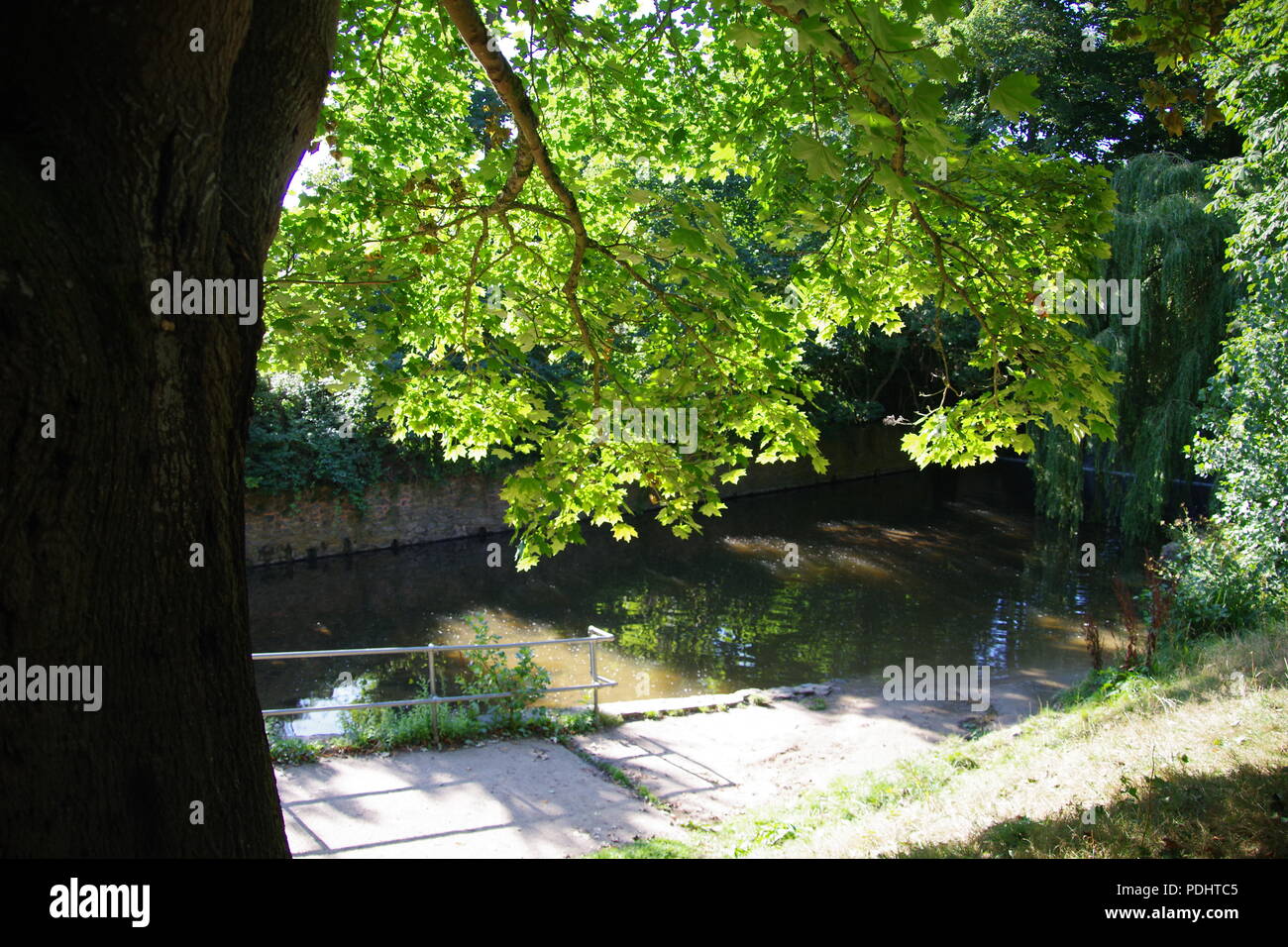 Die Byes Riverside Park, Plymouth, Devon, Großbritannien. Sommer, 2018. Stockfoto