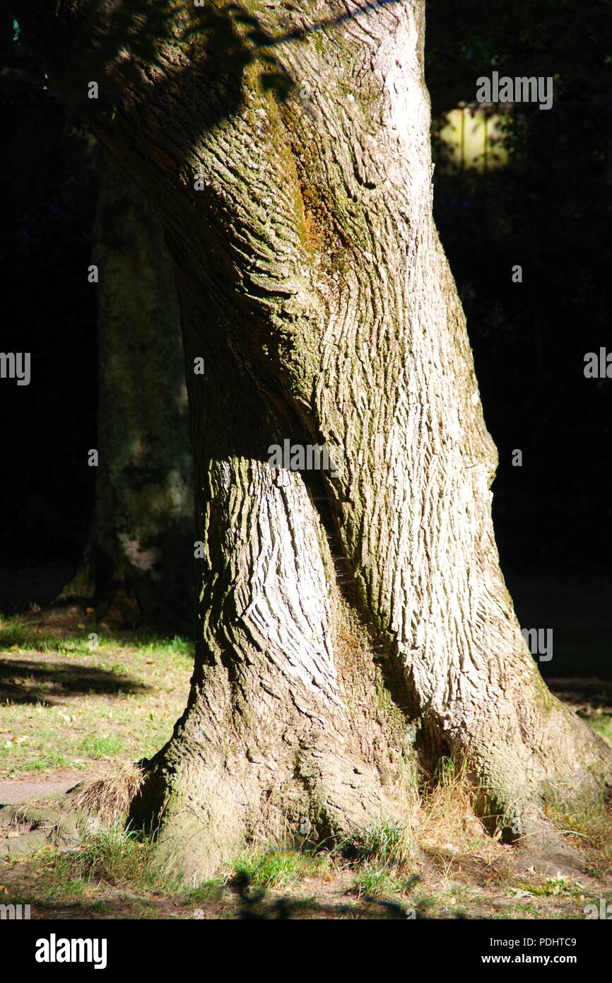 Die Byes Riverside Park, Plymouth, Devon, Großbritannien. Sommer, 2018. Stockfoto