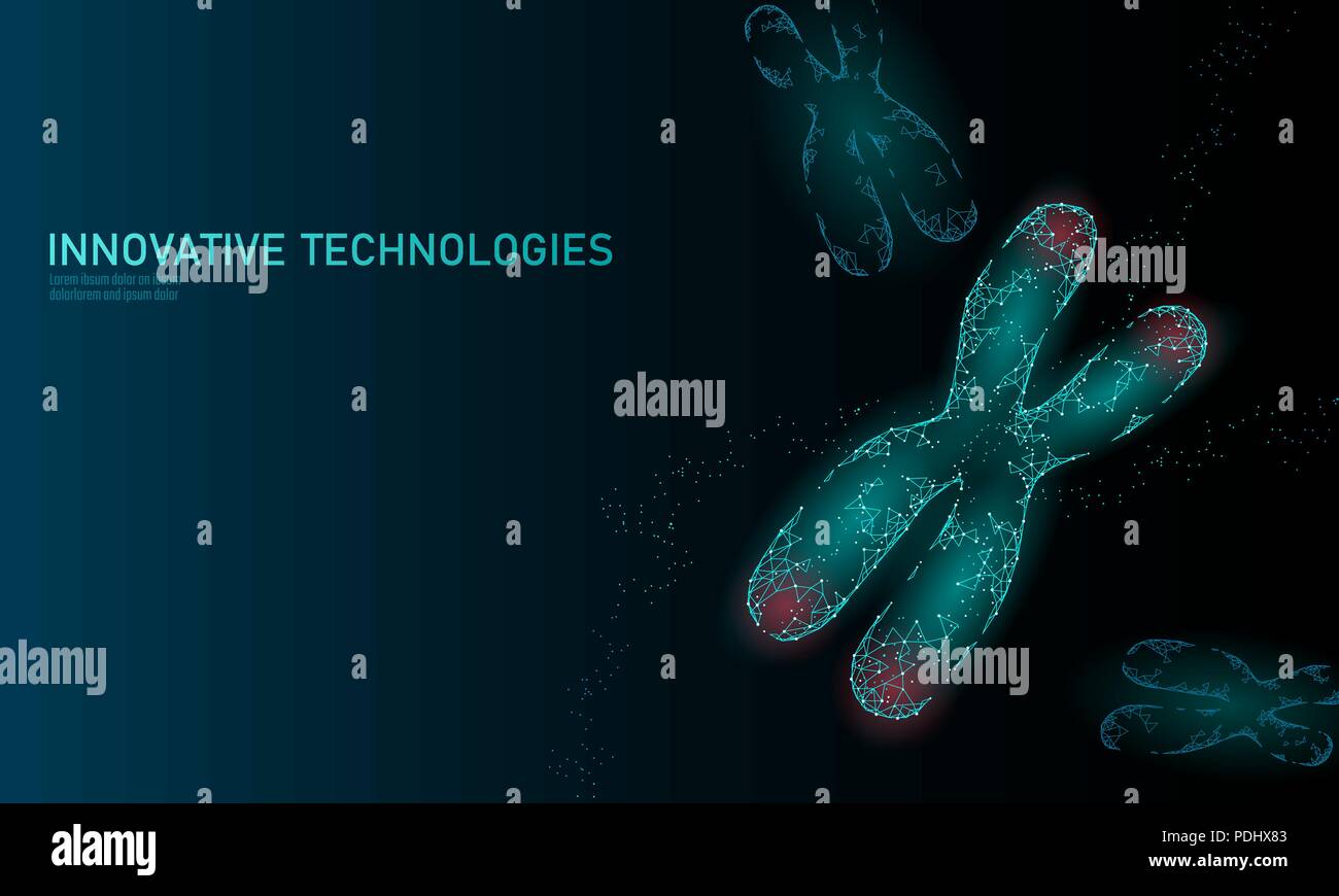 Chromosom DNA-Struktur Medizin Konzept. Low Poly polygonalen Telomer genetische Krankheit Alterungsprozess. Gvo-engineering CRISPR Cas 9 Innovation Moderne Technik Wissenschaft banner Vector Illustration Stock Vektor