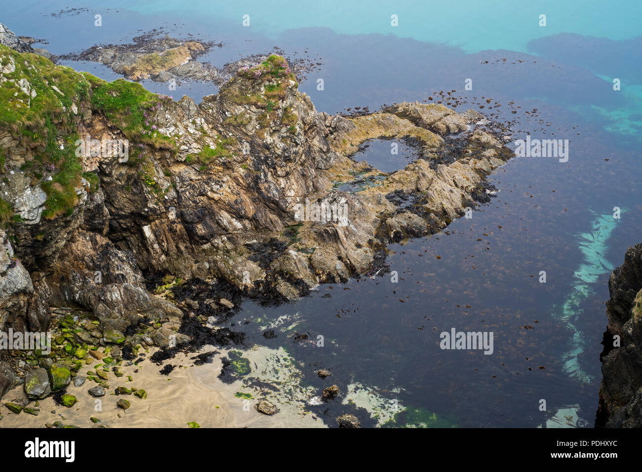 Gezeiten Felsenpools/Rock Pools mit Algen an der Basis der Sea Cliff bei Ebbe Stockfoto