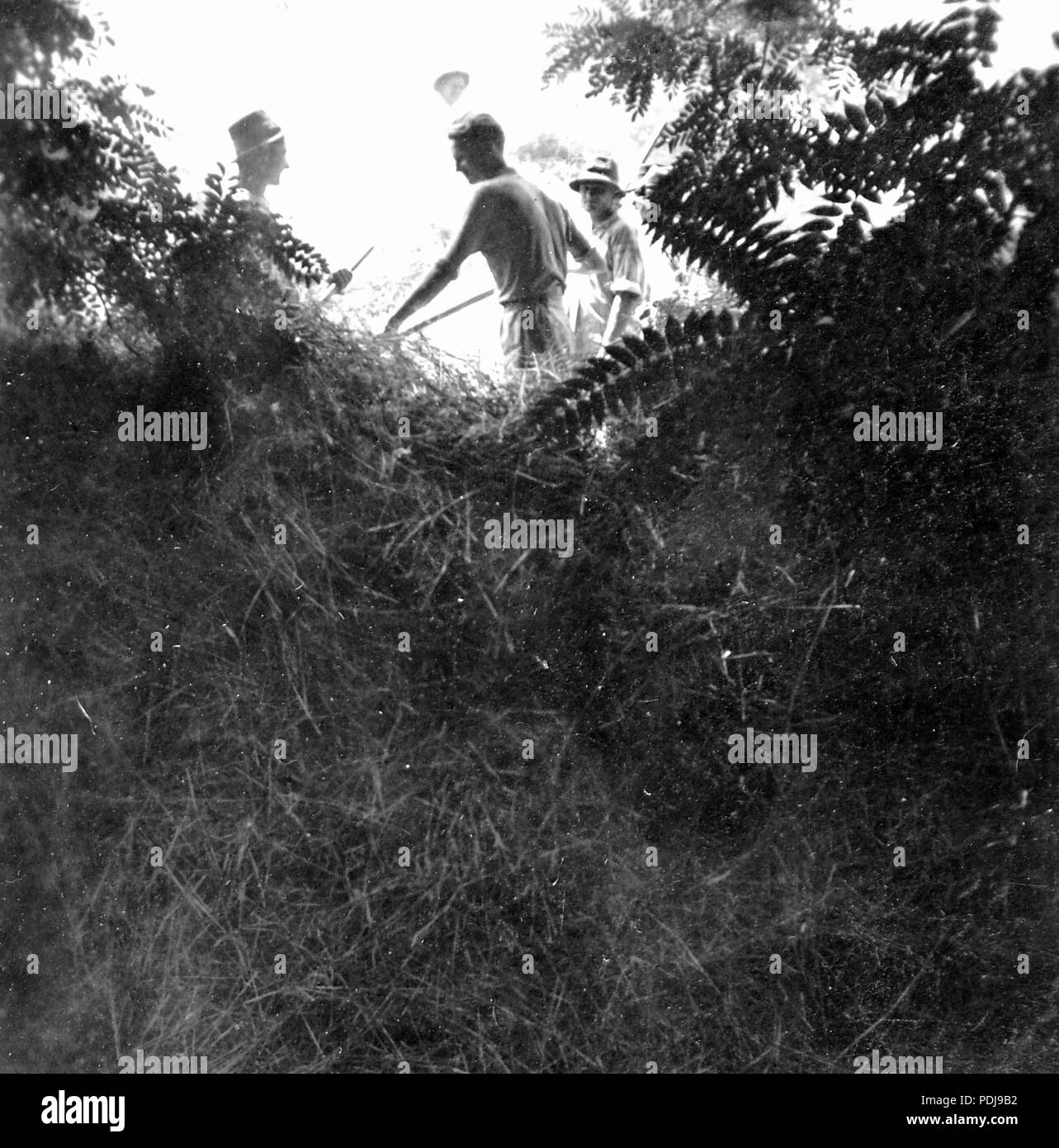3 1925 Fortepan 4694 Stockfoto