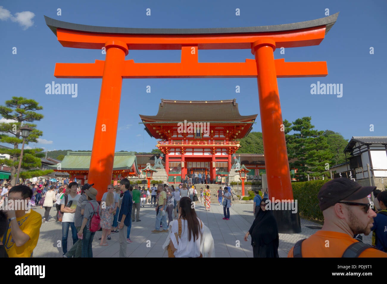 Torii-tor Kyoto Japan in der Nähe von Shinto Schrein Stockfoto