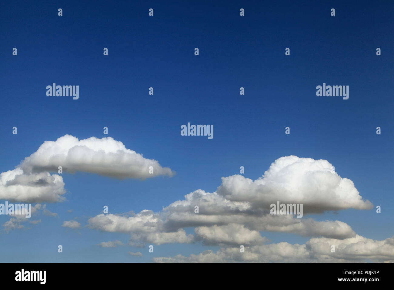 Weiß cumulous, cumulus, Wolke, Wolken, blauer Himmel, Norfolk, England, Großbritannien Stockfoto