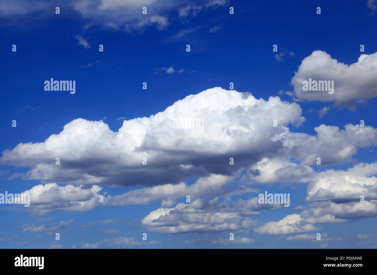 Weiß cumulous, cumulus, Wolke, Wolken, blauer Himmel, Norfolk, England, Großbritannien Stockfoto