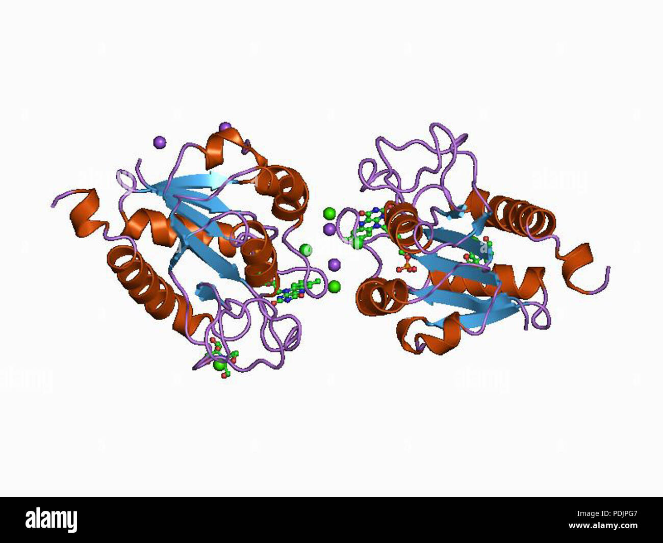 7 HVE 1 ag 9 EBI Stockfoto