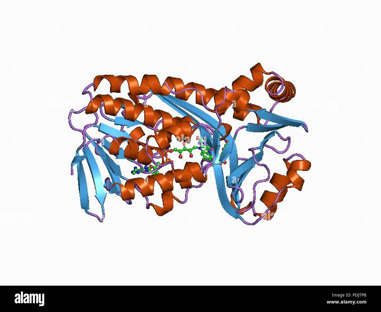19 HVE 1 CJ2 EBI Stockfoto