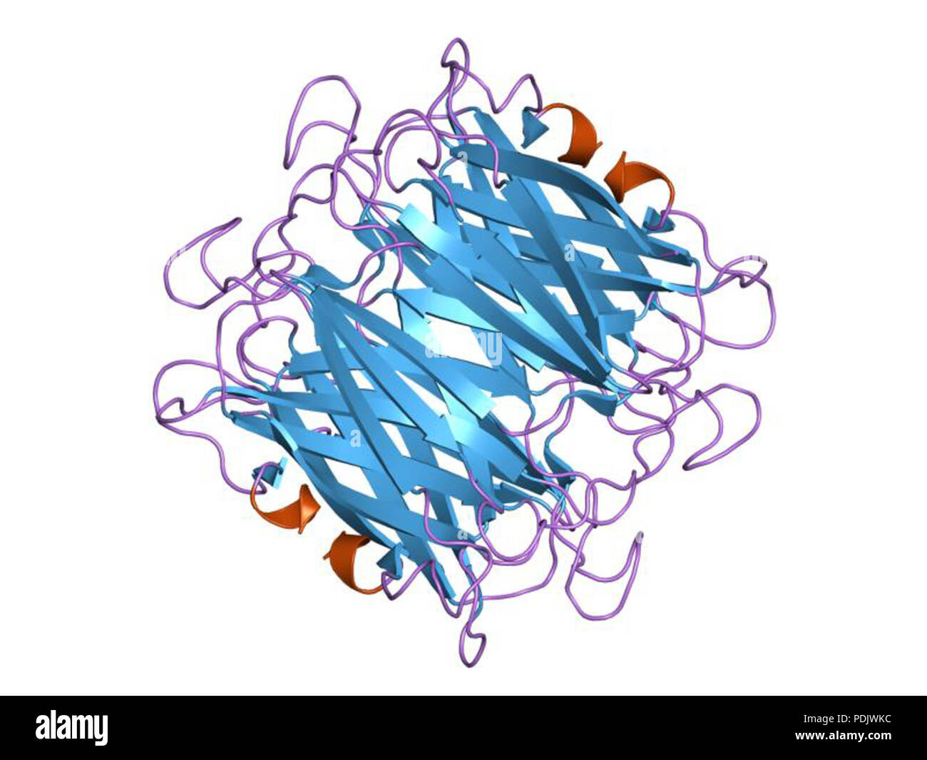 26 HVE 1 dqi EBI Stockfoto