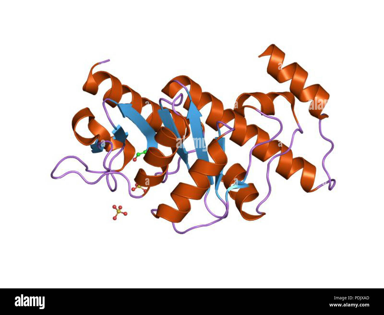 28 HVE 1 e4a EBI Stockfoto